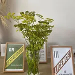 Bed & Breakfast Paddock Petillant
