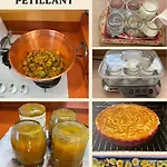 Bed & Breakfast Paddock Petillant