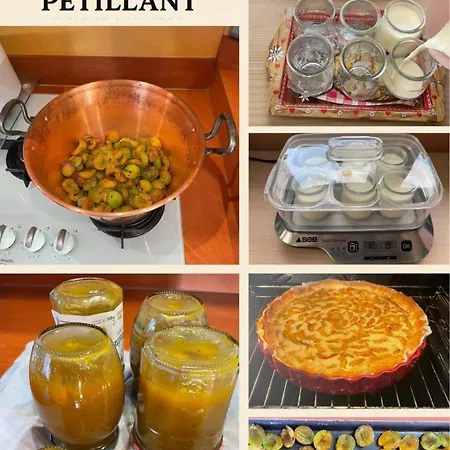 Panzió Paddock Petillant