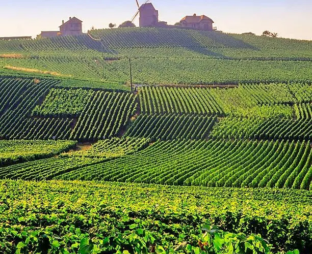 לינה וארוחת בוקר Paddock Petillant Aumenancourt-le-Grand