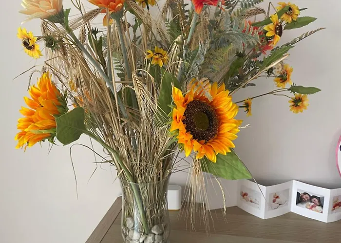 לינה וארוחת בוקר Paddock Petillant